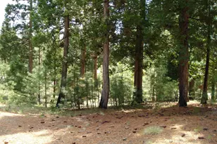 745 Blacktail Ridge, Portola, CA 96122 - Photo 2