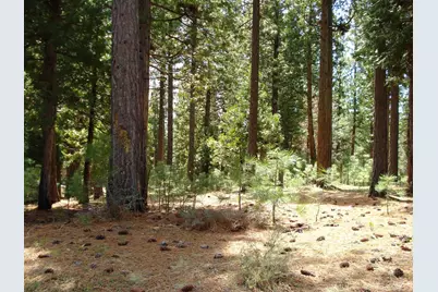 745 Blacktail Ridge, Portola, CA 96122 - Photo 1