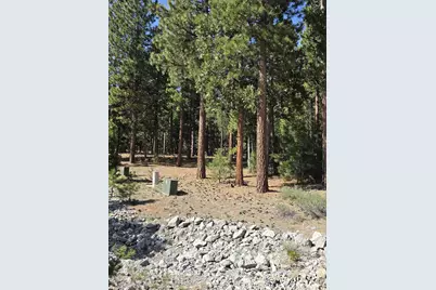 762 Blacktail Ridge, Portola, CA 96122 - Photo 4