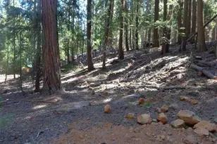 411 Big Meadows Rd, Canyondam, CA 95923 - Photo 1