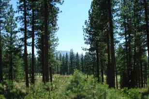 69 Blacktail Ridge, Portola, CA 96122 - Photo 2