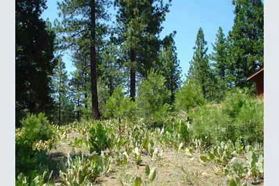 69 Blacktail Ridge, Portola, CA 96122 - Photo 4