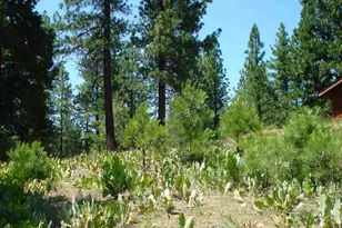 69 Blacktail Ridge, Portola, CA 96122 - Photo 4