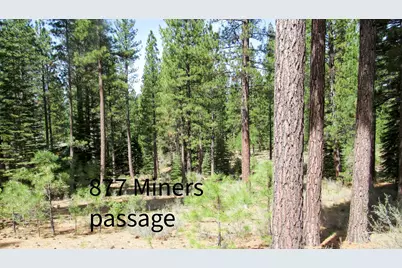 877 Miner's Passage, Clio, CA 96106 - Photo 1