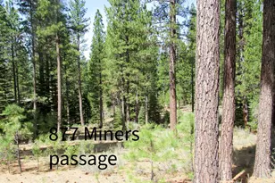 877 Miner's Passage, Clio, CA 96106 - Photo 1