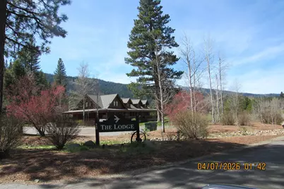 877 Miner's Passage, Clio, CA 96106 - Photo 6