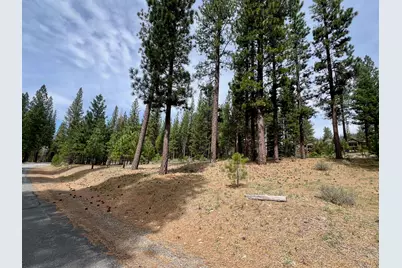 153 Saddle Ridge Road, Clio, CA 96106 - Photo 6