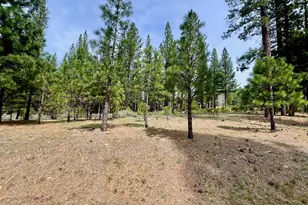153 Saddle Ridge Rd, Clio, CA 96106 - Photo 1