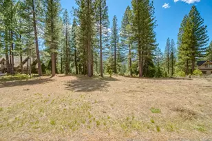 118 Saddle Ridge Rd, Clio, CA 96106 - Photo 1