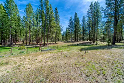 154 Cody Drive, Clio, CA 96103 - Photo 48