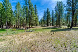154 Cody Dr, Clio, CA 96103 - Photo 48