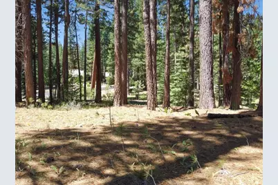 715 Miner's Passage, Clio, CA 96106 - Photo 6