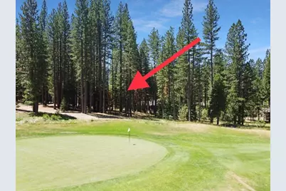 715 Miner's Passage, Clio, CA 96106 - Photo 1
