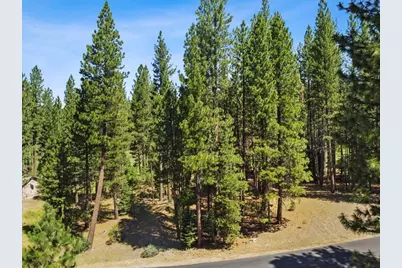 715 Miner's Passage, Clio, CA 96106 - Photo 8