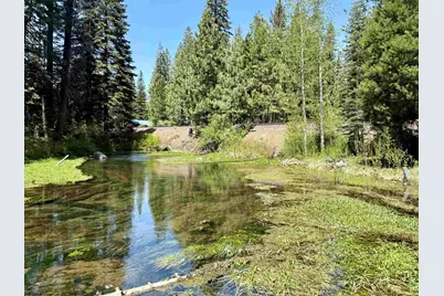 462-580 Park Lane, Clear Creek, CA 96137 - Photo 4