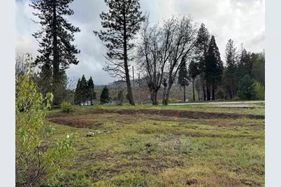 276 Greenville Wolf Creek Road, Greenville, CA 95947 - Photo 2
