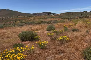 95015 Half Mile Rd, Portola, CA 96105 - Photo 1