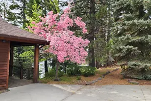 1285 Lassen View Dr, Lake Almanor, CA 96137 - Photo 50