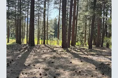 581 Redtail Loop, Clio, CA 96106 - Photo 4