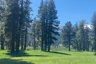 581 Redtail Loop, Clio, CA 96106 - Photo 1
