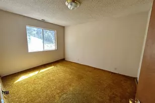 3801 Mary Ann Ln, Lake Almanor, CA 96137 - Photo 8