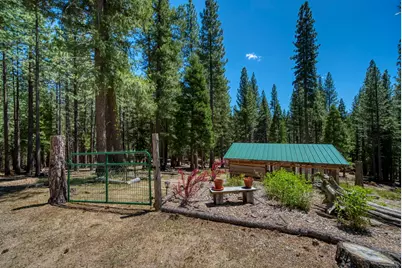 1301 Ringtail Court, Clio, CA 96106 - Photo 20