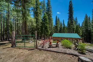 1301 Ringtail Ct, Clio, CA 96106 - Photo 20