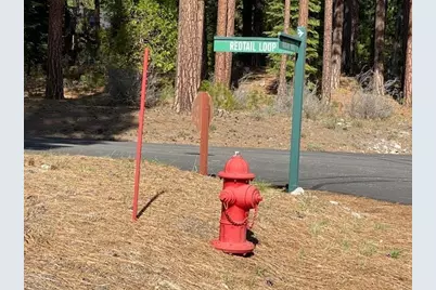 762 Redtail Loop, Clio, CA 96106 - Photo 4