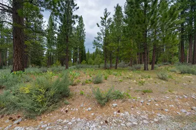 573 Bobcat Trail, Clio, CA 96106 - Photo 1