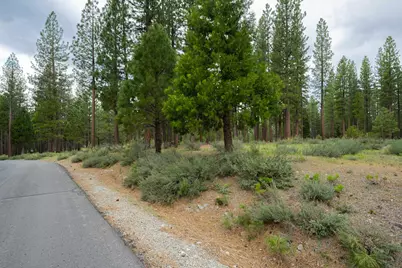 573 Bobcat Trail, Clio, CA 96106 - Photo 2