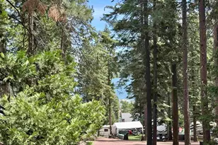 508 Pine Cir, Lake Almanor, CA 96137 - Photo 34