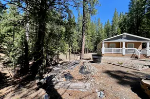 955 Shady Ln, Clio, CA 96106 - Photo 42