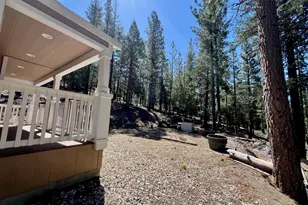955 Shady Ln, Clio, CA 96106 - Photo 8