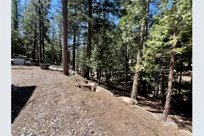 955 Shady Lane, Clio, CA 96106 - Photo 36