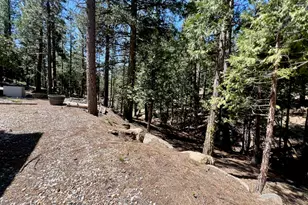 955 Shady Ln, Clio, CA 96106 - Photo 36