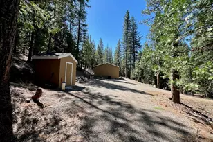 955 Shady Ln, Clio, CA 96106 - Photo 6