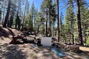 955 Shady Ln, Clio, CA 96106 - Photo 38