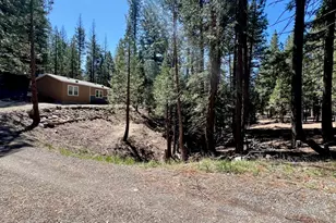 955 Shady Ln, Clio, CA 96106 - Photo 30