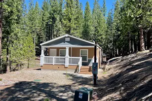 955 Shady Ln, Clio, CA 96106 - Photo 40