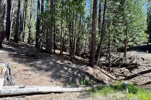 955 Shady Ln, Clio, CA 96106 - Photo 32