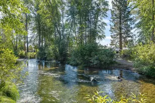 351 Feather River Dr, Chester, CA 96020 - Photo 44