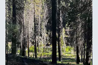 9 Feather River Homesites, Chester, CA 96020 - Photo 22