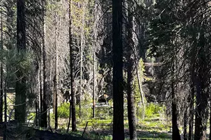 9 Feather River Homesites, Chester, CA 96020 - Photo 22