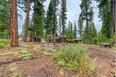68 Eureka Springs Drive, Blairsden, CA 96103 - Photo 38