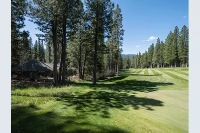166 Black Bear Trail, Clio, CA 96106 - Photo 30