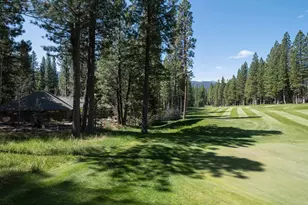 166 Black Bear Trail, Clio, CA 96106 - Photo 30
