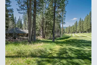 166 Black Bear Trail, Clio, CA 96106 - Photo 30