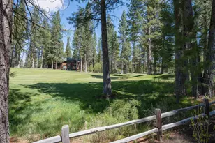 166 Black Bear Trail, Clio, CA 96106 - Photo 28