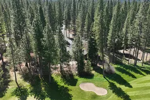 166 Black Bear Trail, Clio, CA 96106 - Photo 32