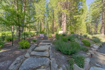 166 Black Bear Trail, Clio, CA 96106 - Photo 26
